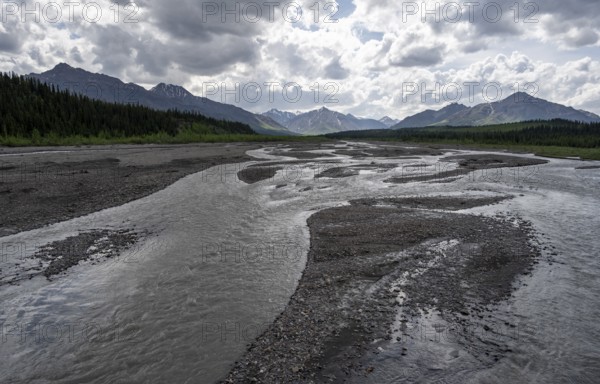Taiga and tundra with Teklanika River, mountain scenery of the Alaska Range with dramatic cloudy