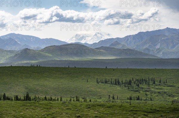 Tundra and glaciated peak of Denali or Mount McKinley, Alaska Range mountainous landscape, Denali