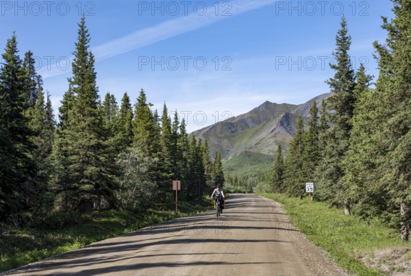 Young woman riding a bicycle on a dirt road through taiga, mountainous landscape, Denali Park Road,
