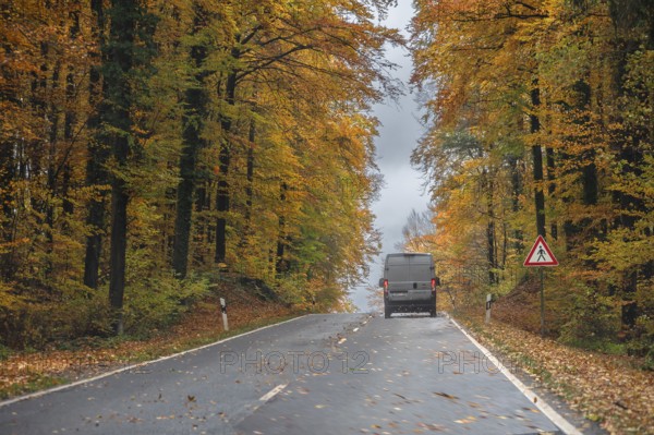 Federal road surrounded by mixed autumn forest, Gräfenberg, Upper Franconia, Bavaria, Germany