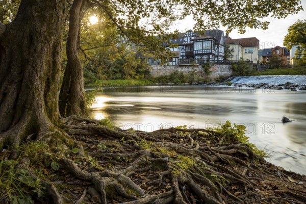 A quiet river with trees and roots in the foreground, while old buildings stand in the background