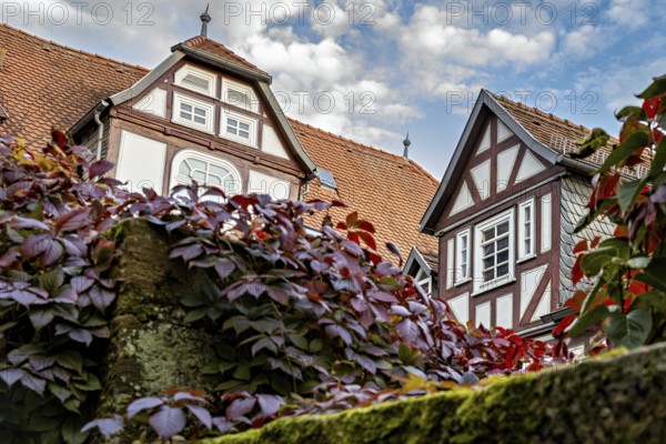 Half-timbered house with ivy and climbing plants against a cloudy sky, The historic city center of