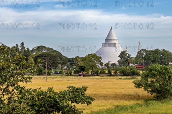 White stupa surrounded by trees and meadows under a blue sky with clouds, a dagoba in the rice