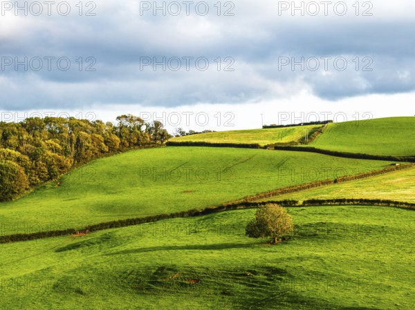 Colours of Devon Farms and Fields over Paignton and Berry Pomeroy from a drone, Totnes, England,