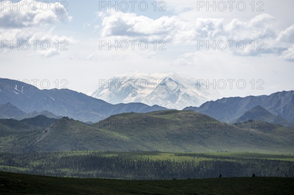 Tundra and glaciated peak of Denali or Mount McKinley, mountainous landscape, Denali National Park,