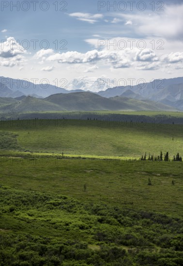 Tundra and glaciated peak of Denali or Mount McKinley, mountainous landscape, Denali National Park,