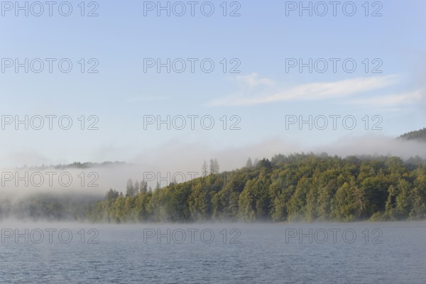 Hennesee, morning fog, blue sky, Hennetalsperre, Sauerland-Rothaargebirge nature park Park, North