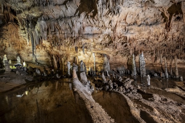 Stalactites and stalagmites, rock formations in a stalactite cave with water basin, Grotta del