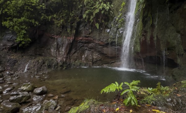 Cascata das 25 Fontes river and waterfall, 25 springs, hiking trail PR6, Levada das 25 Fontes,