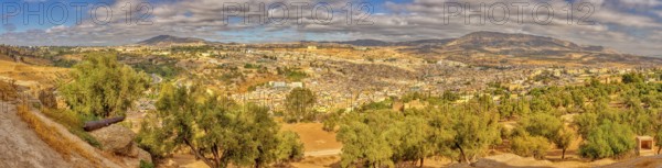 Extensive view of an urban landscape with olive trees and hills, Morocco, Fez, panorama