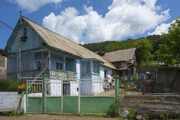 Rural scene with a blue house and several beehives in the foreground, surrounded by nature,