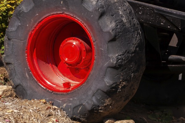 Close-up and rear side view of large heavy duty black rubber tire mounted on red rim on monster