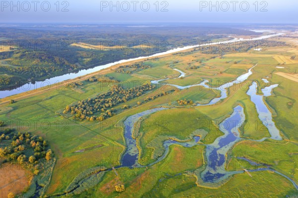 Aerial view over the Oder river in the German-Polish nature reserve Lower Oder Valley International