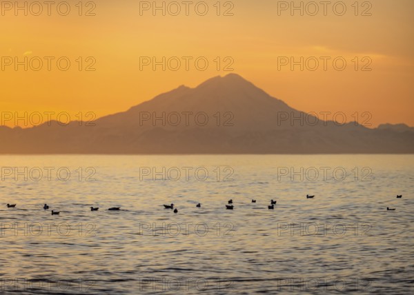 View of Cook Inlet on white mountain peaks of Mount Redoubt at sunset, picturesque golden light of