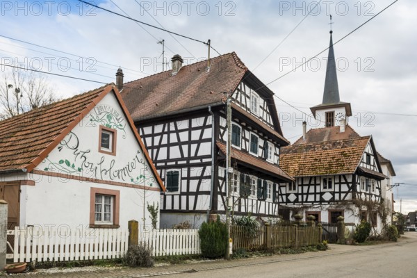 Village made entirely of half-timbered houses, Seebach, Alsace, Bas-Rhin department, France