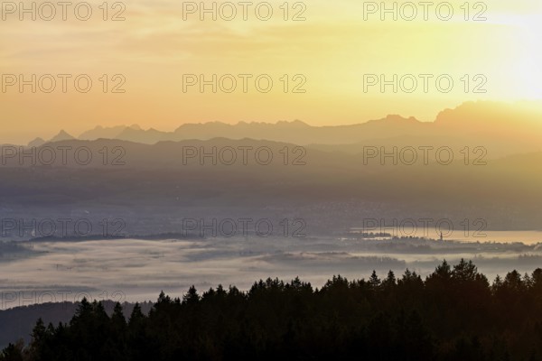 View from Horben of Lake Zug with the city of Cham and Zug covered in fog, behind it the