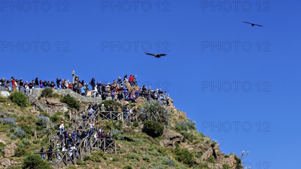 A group of people on a rocky viewpoint watch the birds in the sky, tourists at Crux de Condor to
