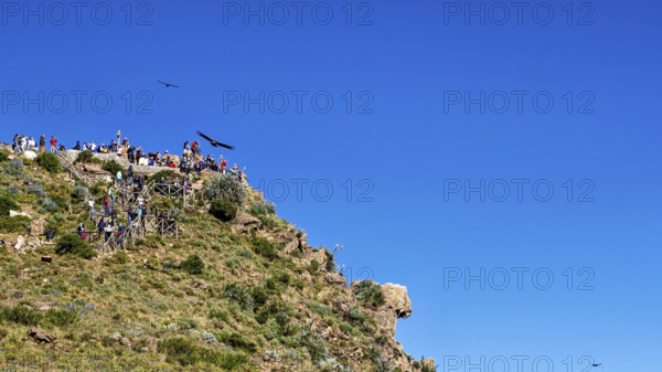 People on a cliff enjoying the view under a clear blue sky with birds in flight, tourists at Crux