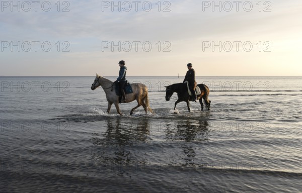 Two female riders ride their horses through the shallow water of the Baltic Sea at sunrise,