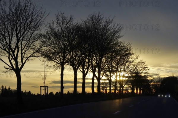 Street in late autumn, sunset, Germany