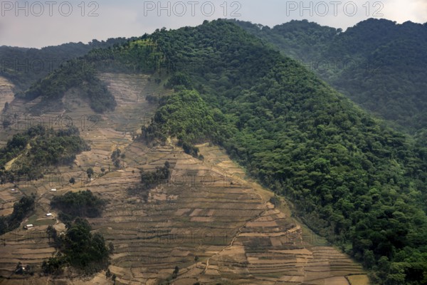 Contrast between forest and farmland, symbolic image of deforestation, loss of rainforest, jungle,