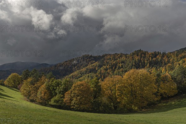 Vast green field features trees with gold and red leaves. The grey sky brings drama to this