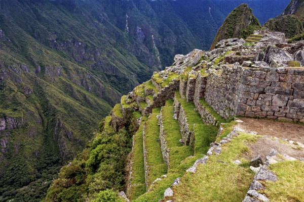 Machu Picchu terraces along a steep mountain flank in lush nature, The ruins of the Inca city of
