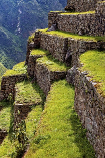 Close-up of the stone terraces of Machu Picchu stretching on the mountainside, The ruins of the