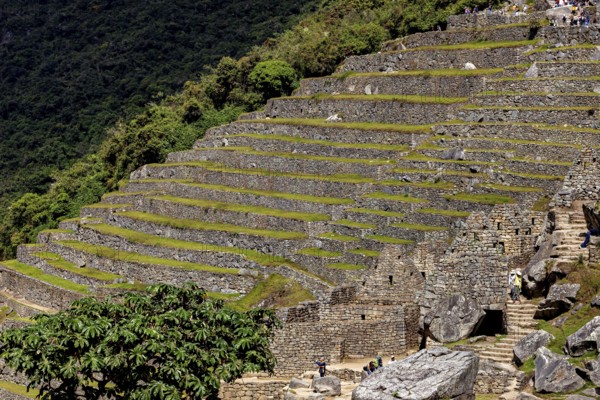 Stone terraces of Machu Picchu gently descending the slope, The ruins of the Inca city of Machu