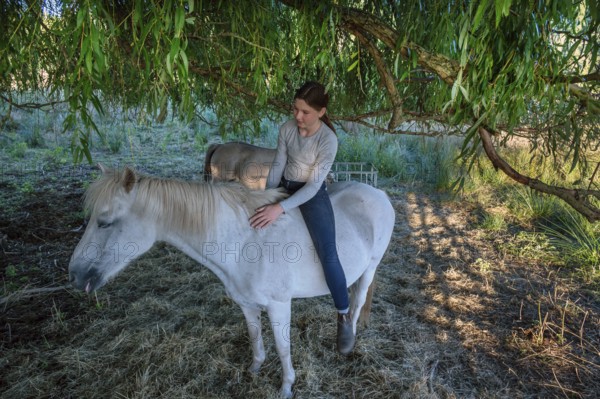 Young girl sitting on her white mare under a willow (Salix), Othenstorf, Mecklenburg-Western