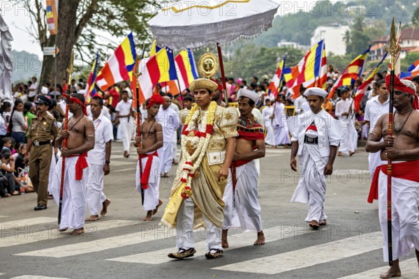 A solemn procession with people in white robes and colorful flags on the street, The Perahera