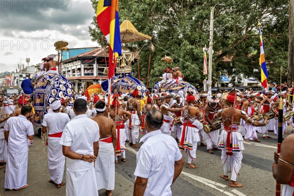 Festive procession with decorated elephants and people in traditional clothing, The Perahera Parade