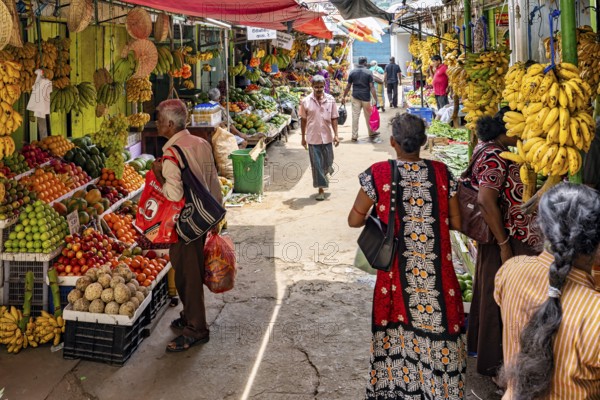 Market visitors and traders among colorful fruit and vegetables, traders in the market halls of