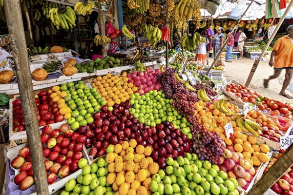 Colourful variety of tropical fruits on a lively market stand, dealers in the market halls of Kandy