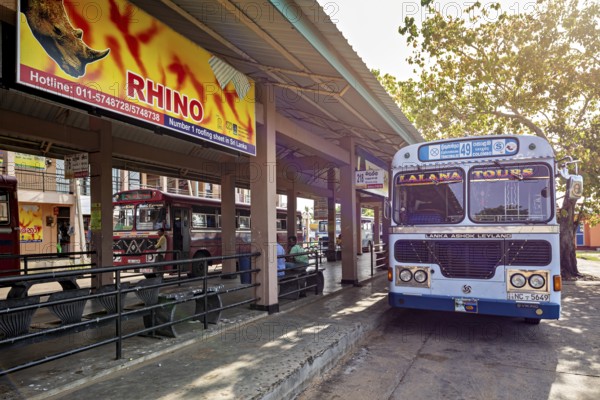 An Ashok Leyland bus at a bus stop with signs and trees in Sri Lanka, bus station in Kandy Sri