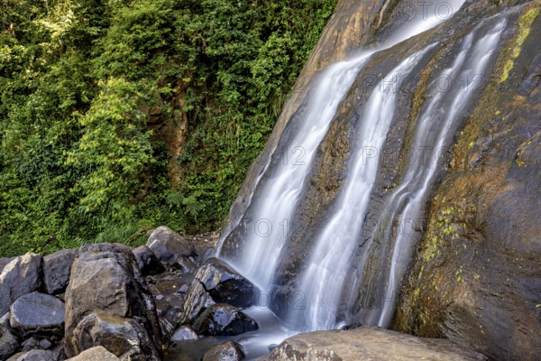 A waterfall pours over rugged rocks, surrounded by thick forest and moss-covered stones, tea