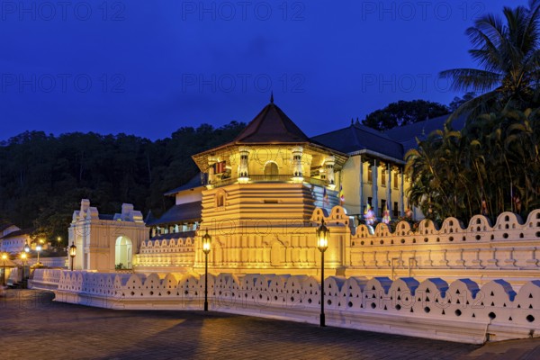 Historic building illuminated in the dark with surrounding vegetation, The Temple of the Tooth in