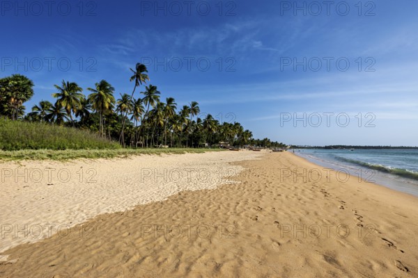 Extensive sandy beach with palm trees and peaceful sea, blue sky, quiet atmosphere, Trincomalee