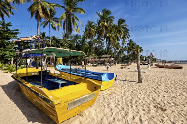 Yellow boats on sandy beach with palm trees and blue sky, holiday atmosphere, Trincomalee beach in