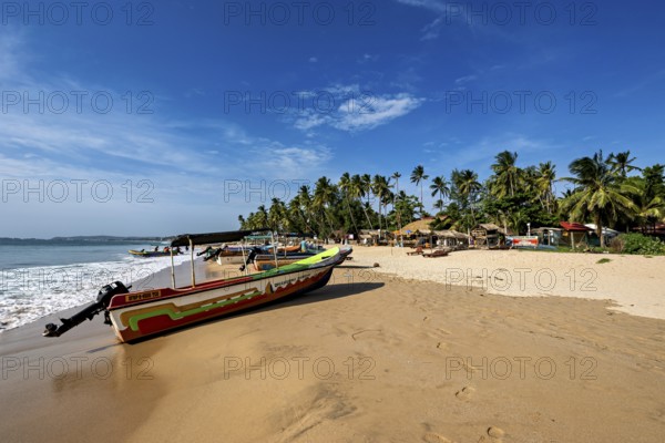 A colorful boat on the beach in front of palm trees and calm sea, clear sky, peaceful, Trincomalee