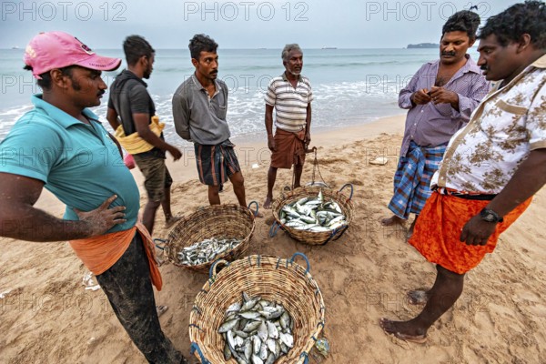 Men on the beach talking about caught fish in baskets, the sea in the background, Traditional