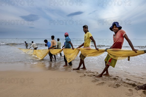 Group of people on the beach leading a fishing net into the water, collective action, traditional