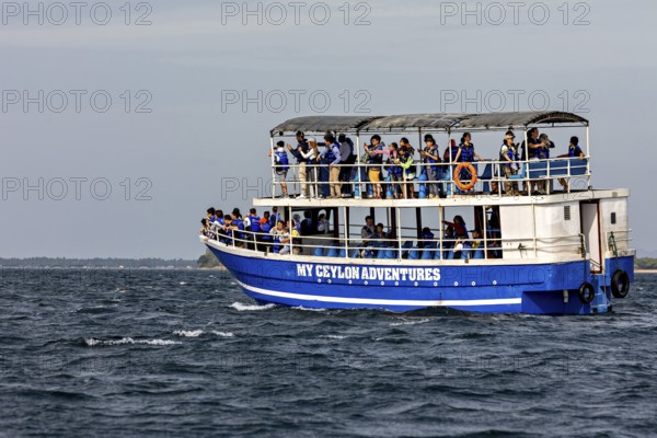 A tour boat full of people on a body of water under a clear sky, whale watching tour boat with