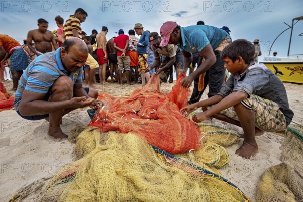 Group of men on beach sorting and inspecting fishing nets, traditional fishermen on Trincomalee