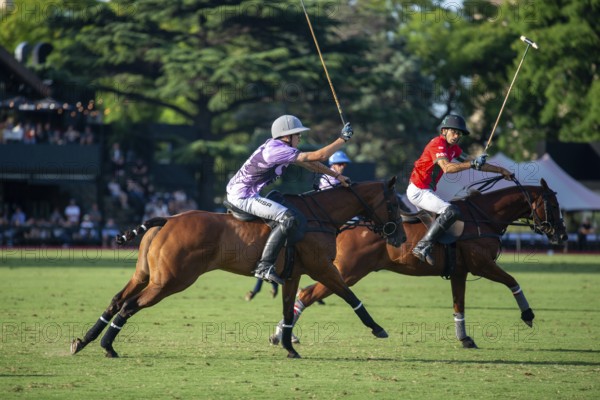 Scene at the 132nd Argentinean Open Polo Championship (Spanish 132nd Abierto Argentino de Polo de