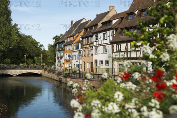 Half-timbered houses on the river, La Petite Venise, Krutenau district, Old Town, Colmar, Alsace,