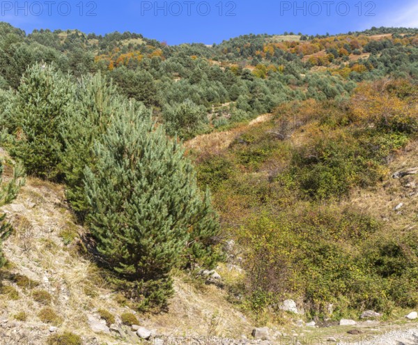 Mountain landscape Guarrinza - La Mina, Aragon Subordan river valley, Parque Natural Valles