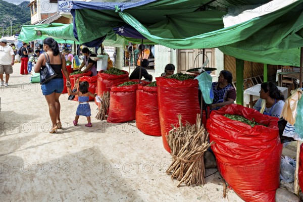 Lively market scene in a tropical village with woman selling goods in big red bags selling coca