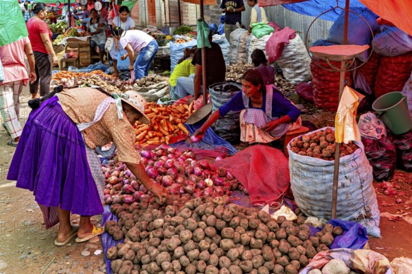 Different types of vegetables are sold in colorful bags at a lively market, The Rurrenabaque market