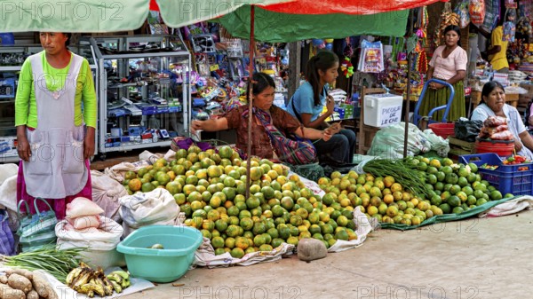 Women sell fruit at a colorful market stall full of fresh goods, The Rurrenabaque market in the